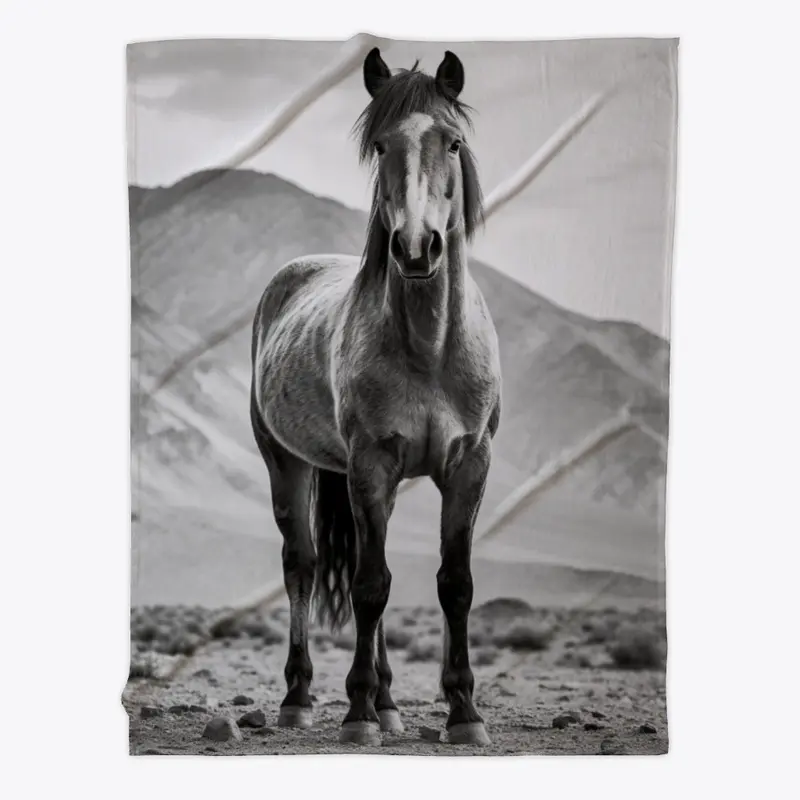 WILD horse in the Mountains 